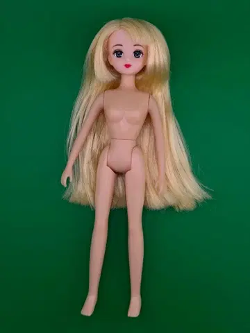 리카짱 인형 본체 리카짱 하우스 시리즈