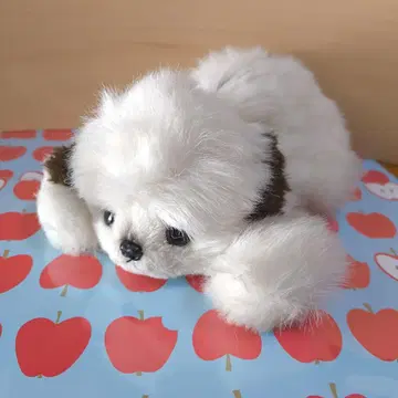 말티즈 페키니즈 말랑말랑 봉제 인형 소우비샤 리베 애니멀 어레이