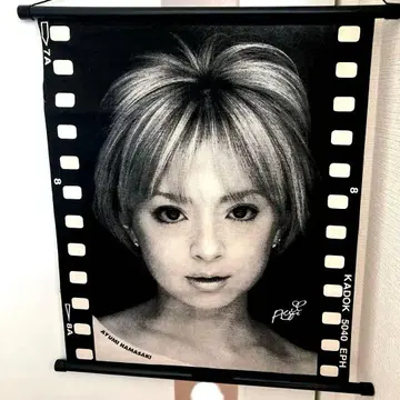 레어 하마사키 아유미 태피스트리 벽걸이