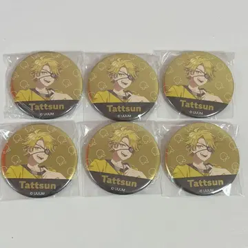 컬러풀 피치 타츠 군 캔뱃지 묶음 판매