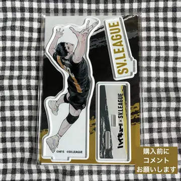 하이큐!! SV리그 아크릴 스탠드 카게야마 토비오