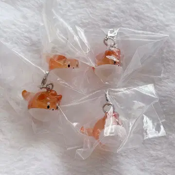 crazy raccoon CR 페스티벌 키나코 참