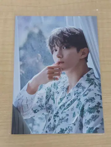 SEVENTEEN DK 도겸 Your Choice 브로마이드