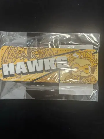 호크스 네임 배지