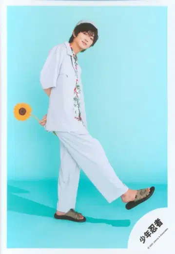 소년 닌자 우치무라 소우타 공식 사진 *1장