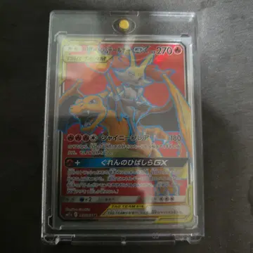 리자몽 & 테르나 GX 미사용 새상품 새상품급