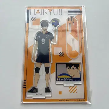 하이큐 아크릴 스탠드 아크스타 카게야마 토비오