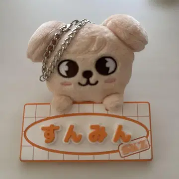 Stray Kids 승민 puppyM 네임