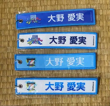 히나타자카46 오노 마나미 네임택 4개 세트