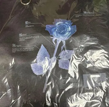 Ado 5th Adotomy 인조 가죽 토트백 도쿄