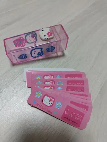 헤이세이 레트로 헬로키티 프로필 카드 케이스 포함