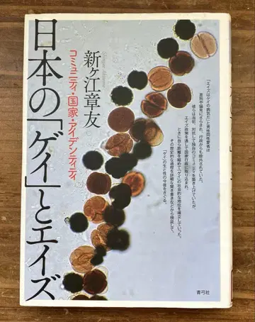 [ 중고도서 ] 일본의 게이와 에이즈 커뮤니티, 국가, 아이덴티티