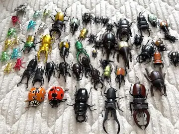 생물 대도감 어드밴스 사슴벌레, 무당벌레, 외 피규어 묶음 판매