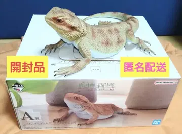 제일복권 파충류&양서류 A상 수염도마뱀 피규어