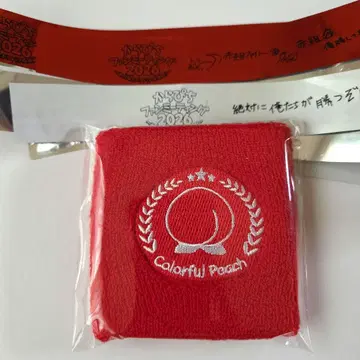 컬러풀 피치 리스트 밴드 은색 테이프 빨간색 화이트 팬 미팅 응원 혜택