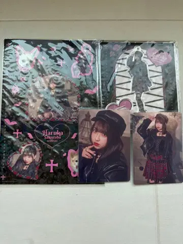 사쿠라바 하루카 2025 생일 축제 묶음 판매