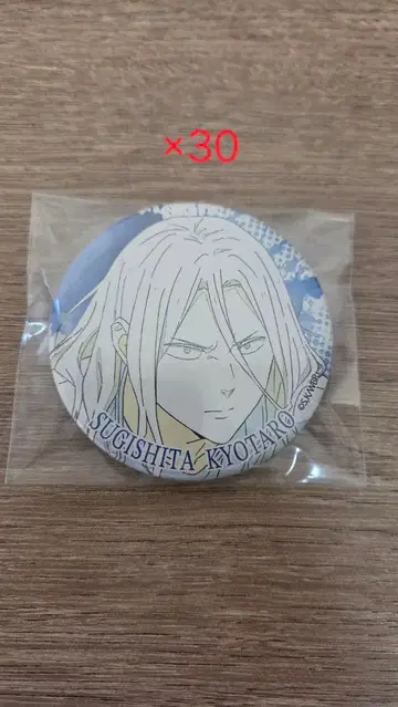 윈드 브레이커 스기시타 쿄타로 TSUTAYA 원화 캔뱃지