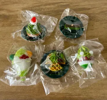 말차 셀렉션 볼체인 전 5종 컴프 묶음 판매 가챠 식품