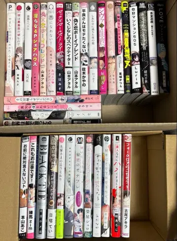 BL 코믹스 묶음 판매 낱개 판매 특전 포함