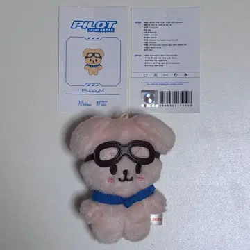 straykids pilot 인형 승민 PuppyM