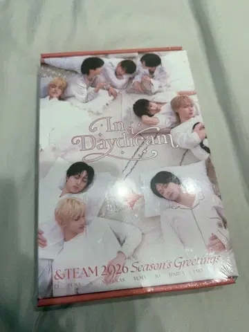 &TEAM Season's Greetings 시그리 미개봉