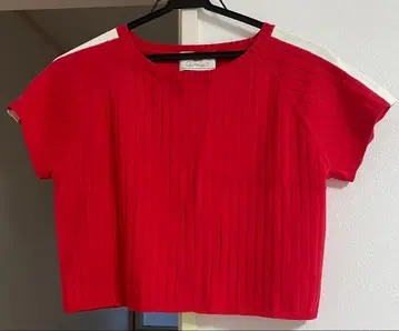 무토 시즈카 rady 빨간색 얇은 소재 반팔 니트탑