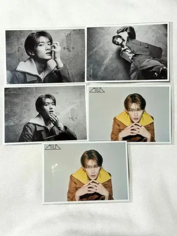 야마나카 유타로 M!LK 브로마이드 5장 세트 46번째