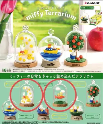 miffy 테라리움 미피의 테라리움 별 비행기