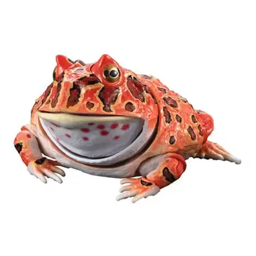 생물대도감 어드밴스 뿔개구리 레드 캡슐판 가챠 피규어