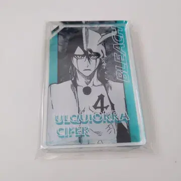 BLEACH 도미노풍 아크릴 스탠드 우르키오라