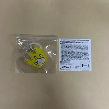 &TEAM K BLAZE THE WAY 캡슐 토이 가챠 레어 참