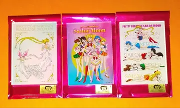 세일러문 스토어 아크릴 마그넷 6주년 7주년 세레니티 치비우사