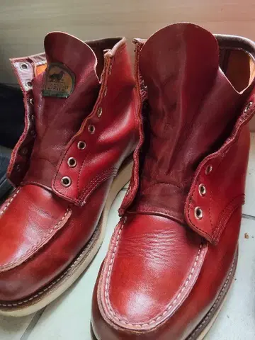 레드윙 반원 개 택