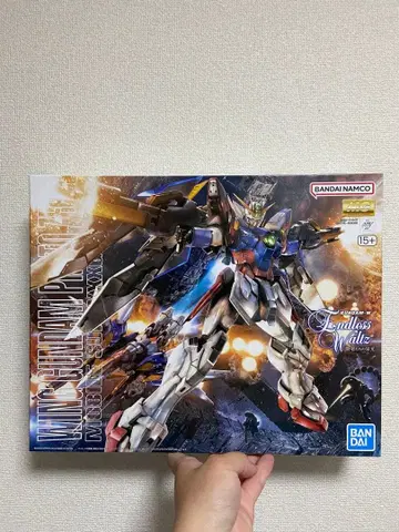 MG 1/100 윙 건담 프로토 제로