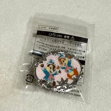 디즈니씨 스파클링 쥬빌리 아부즈 바자르 칩과 데일
