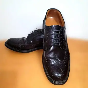 REGAL 리갈 2589 윙팁 외날개식 25cm EE