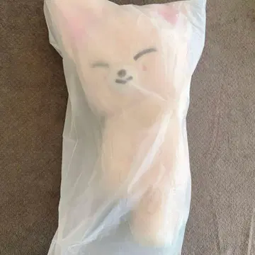 스키즈 팝업 SKZOO PLUSH BAG FoxI.Ny 아이엔