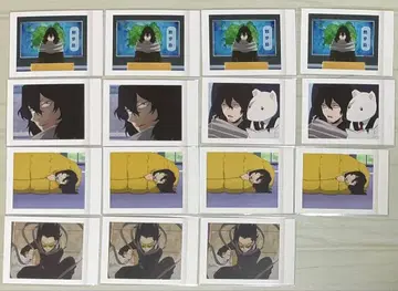 나의 히어로 아카데미아 히로아카 아이자와 쇼타 파샤코레 묶음 판매