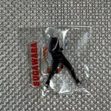 하이큐 스가와라 코시 아크릴 피규어 컬렉션 아크릴 스탠드