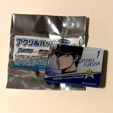 다이아몬드 A 후루야 사토루 (등신대) 일본 햄 파이터즈 아크릴 배지