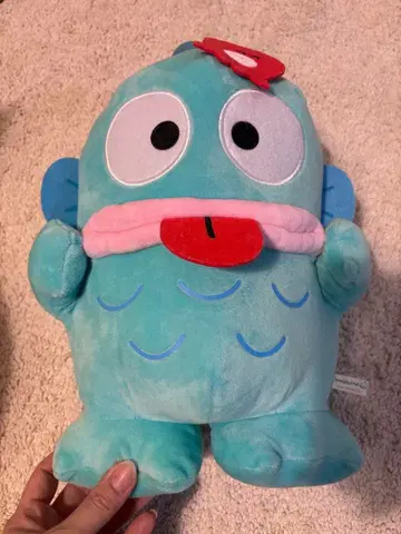 산리오 한교동 봉제 인형