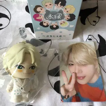 JO1 쁘찌제오 시로이와 루키 RURU 씰더스