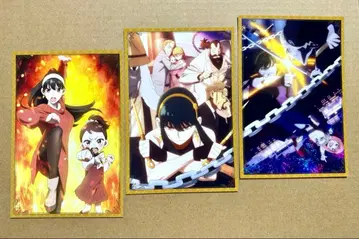 SPY x FAMILY 엽서 요르 아냐 3장 세트