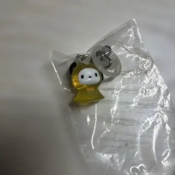 포차코 옐로우 컬러