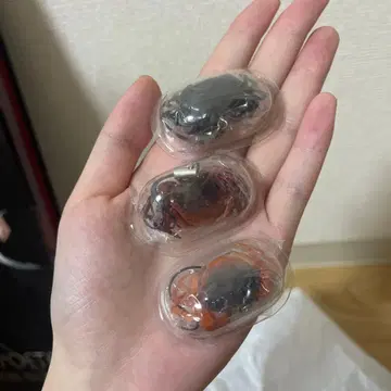 네이처 테크니컬러 MONO 사와가니 3개