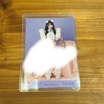 = LOVE 이코러브 오타니 에미리 고양이 직필 히키