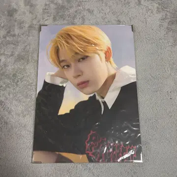 ENHYPEN MANIFESTO 선우 프리 포토