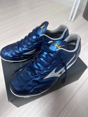 미즈노 프로 오더 스파이크