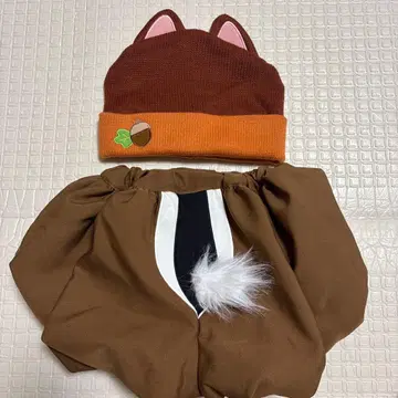 칩과 데일 코디
