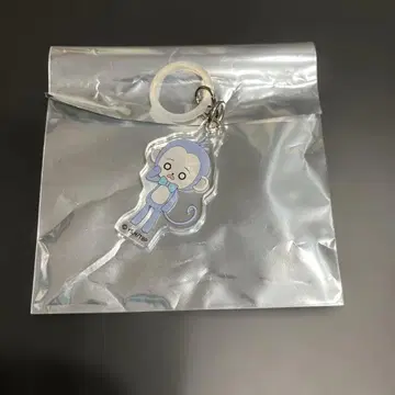 타몬 군 지금 어느 쪽 애니멀F/ACE 메지루시 참 사카구치 사쿠리